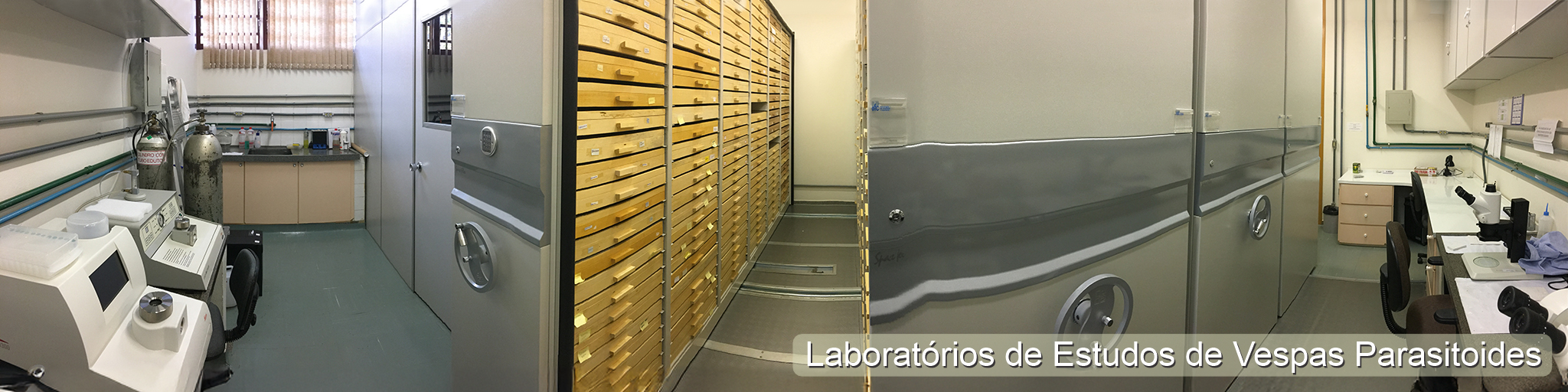 Estrutura, equipamentos e armário compactador da coleção do Laboratório de Estudos de Vespas Parasitoides.