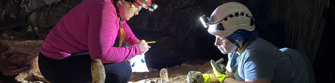 Pesquisadores à procura de exemplares da fauna de cavernas para estudos