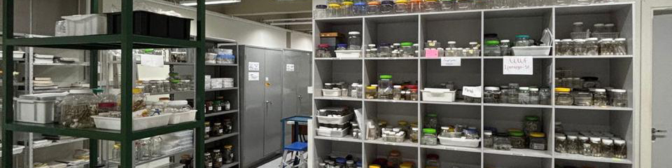 Instalações do Laboratório de Estudos Subterrâneos (LES) nas dependências do BIOTROP