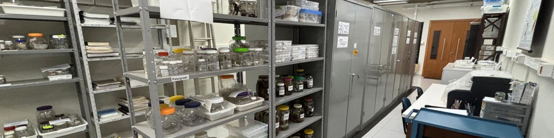 Instalações do Laboratório de Estudos Subterrâneos (LES) nas dependências do BIOTROP