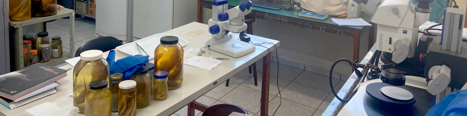 Instalações do Laboratório de Ictiologia Sistemática - laboratórios