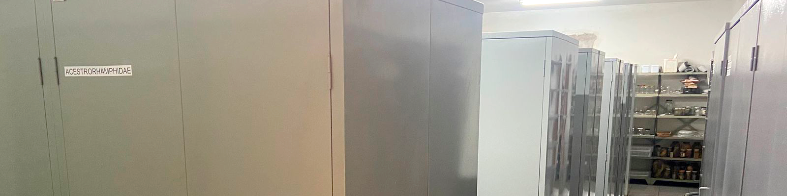 Instalações do Laboratório de Ictiologia Sistemática - sala de coleção