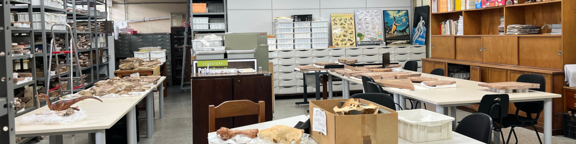 Instalações do Laboratório de Paleoecologia e Paleoicnologia (LPP)
