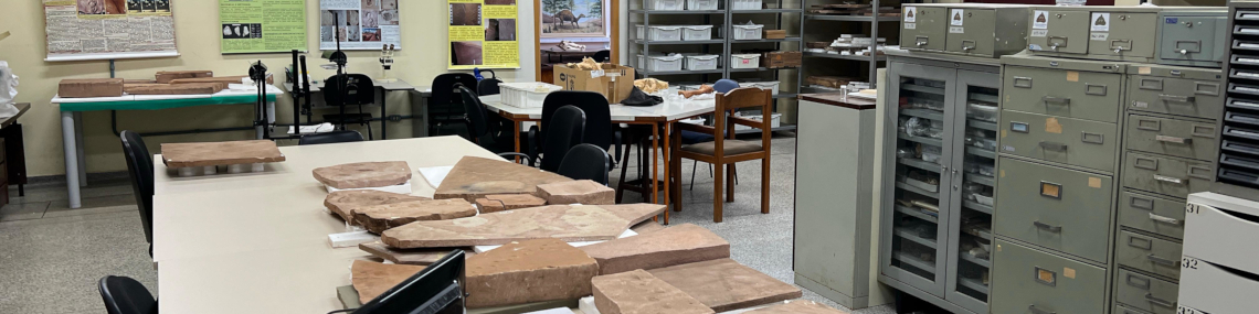 Instalações do Laboratório de Paleoecologia e Paleoicnologia (LPP)