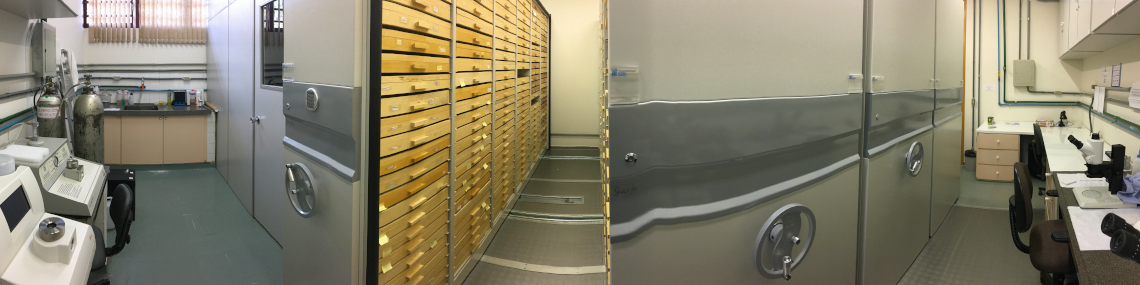 Sala de coleção equipada com armários compactadores e secador de ponto crítico para a preparação de amostras para análise em MEV